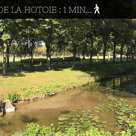 Casamara 3 Au Coeur Du Parc De La Hotoie Appartement